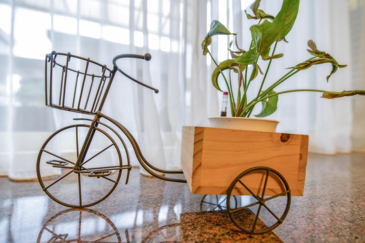 Rabbit Forest B&B Ruisui Ngoại thất bức ảnh